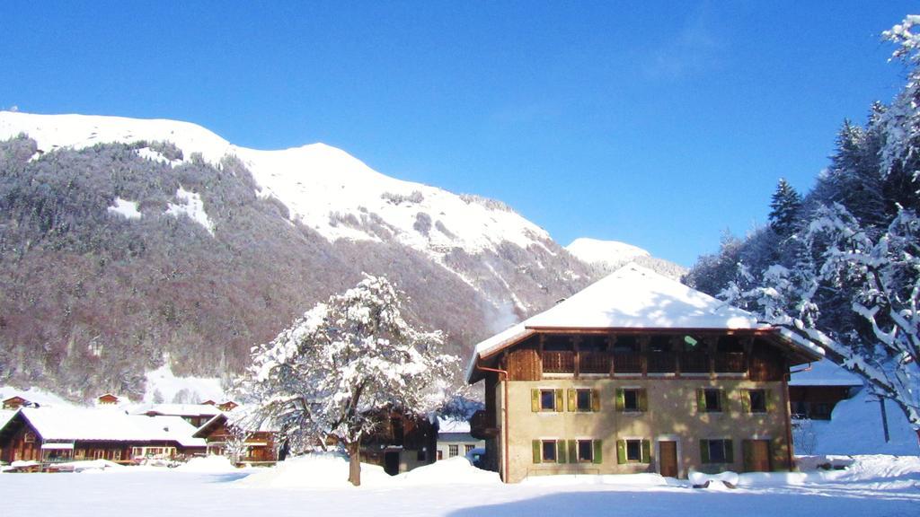La Ferme Du Lac Vert Montriond Bagian luar foto
